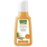 RAUSCH Shampoo Nutritivo de Gérmen de Trigo