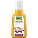 RAUSCH Repair Shampoo Kamille & Amarant - 40 ml