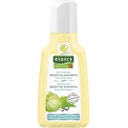 RAUSCH Sensitive Shampoo with Heartseed  - 40 ml