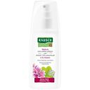 RAUSCH Volume Spray with Mallow 