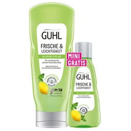 Fresh & Light Invigorating Conditioner + Mini Conditioner  - 250 ml