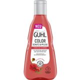GUHL Farbglanz Shampoo Color Schutz & Pflege