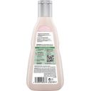 GUHL Shampoo Tiefenaufbau Reparatur - 250 ml