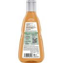 GUHL Nährendes Shampoo Feuchtigkeitsaufbau - 250 ml