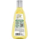 GUHL Farbglanz Shampoo Blond Faszination - 250 ml