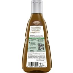 GUHL Farbglanz Shampoo Braun Faszination - 250 ml