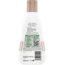 GUHL Bond+Reparatur - Shampoo - 250 ml