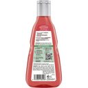 GUHL Farbglanz Shampoo Color Schutz & Pflege - 250 ml