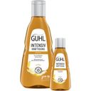 GUHL Shampoo Intensiv Kräftigung - 300 ml