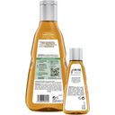 GUHL Shampoo Intensiv Kräftigung - 300 ml