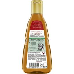 GUHL Shampoo alla Birra Kölsch - 250 ml