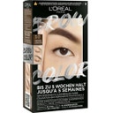 L'ORÉAL PARIS Brow Color Eyebrow Tint - 3.0 Castanho escuro
