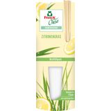 Frosch Oase Room Freshener Refill Pack 