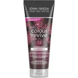 Pro Colour Revive Colour Protection Shampoo 