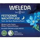 Genciana azul y Edelweiss - Crema de Noche Reafirmante - 40 ml