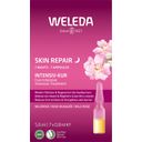 Weleda Wildrose Skin Repair Intensiv-Kur