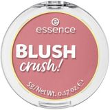 essence Rouge Blush Crush!