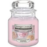 Sugared Blossom Home Inspiration Candle in Jar