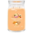 Vela Aromática Signature Jar Mango Ice Cream - Large