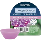 Yankee Candle Wax Melt Wild Orchid