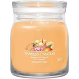 Signature Jar Mango Ice Cream Scented Candle 