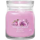 Yankee Candle Duftkerze Signature Jar Wild Orchid - Medium