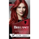 Brillance Intensive Colour Cream Haarkleuring - 842 Kasjmierrood