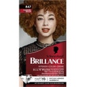 Brillance Intensive Colour Cream Haarkleuring, 847 Karamelbruin
