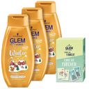 GLEM vital Winter Shampoo Honig Elixier Set