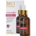 Concentrato Viso Attivo Antirughe e Rassodante - Collagen