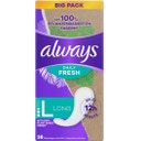 Daily Fresh - Salvaslips Largos con Fibras Vegetales, 38 unidades