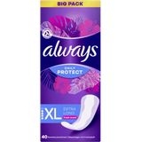 Daily Protect Extra Long Pantyliners with a fresh fragrance