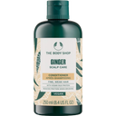 The Body Shop Ginger Conditioner