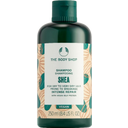 The Body Shop Shampoo Shea