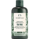 The Body Shop Teafaolajos kondicionáló