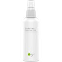 Linden Light Hold Hair Mist, 170 ml