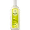 Weleda Millet Nourishing Shampoo - 190 ml