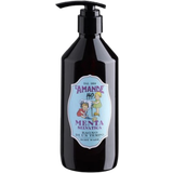 L'Amande Wild Mint Body Wash