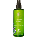 PRIMAVERA Sivkina vodica - 100 ml