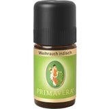 PRIMAVERA Indijsko kadilo