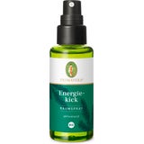 PRIMAVERA Energiekick Raumspray bio