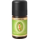 PRIMAVERA Lavandin Ekologisk - 5 ml