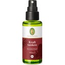 Spray de Ambiente Recarregar Energias Bio - 50 ml