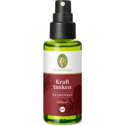 Spray de Ambiente Recarregar Energias Bio - 50 ml
