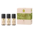 Aroma set za sauno 