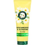 Pflegespülung Geschmeidig & Glänzend Kamille