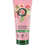 HERBAL ESSENCES Pflegespülung Blütensanft Rosenduft