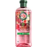 HERBAL ESSENCES Shampoo Blütensanft Rosenduft