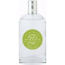Les Eternelles Eau de Toilette prickelnde Verbene - 100 ml