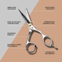 Premium Beard & Mustache Scissors - Japanese Steel - silver - 5.5 + comb & carrying pouch - 1 Stk